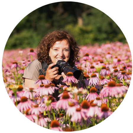 Ontwerp zonder titel3